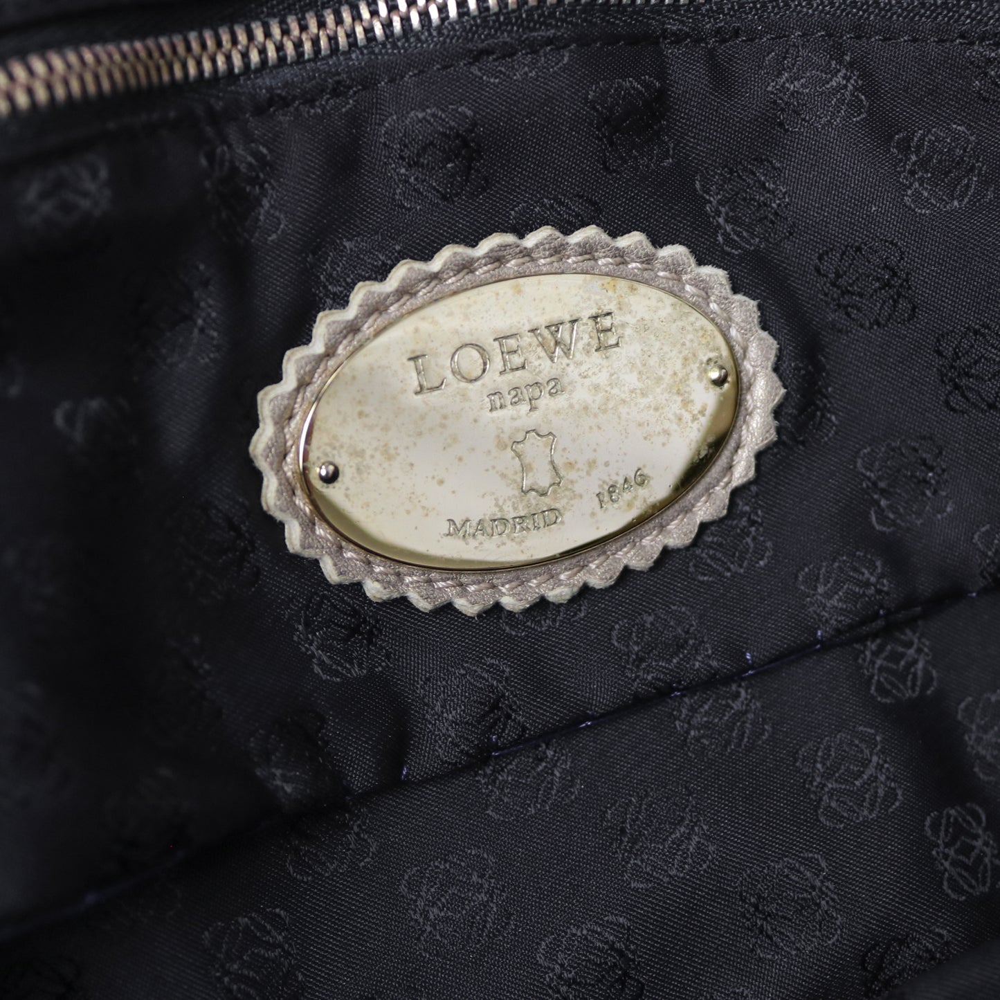 Loewe metallic Nappa Aire hobo bag